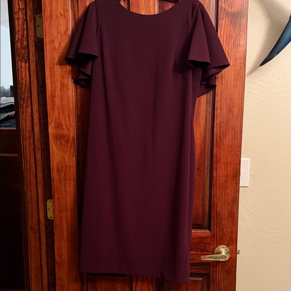 Calvin Klein Elegant Wine Dress